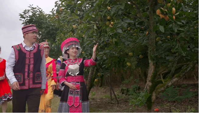 PG电子·仿照器(试玩游戏)官方网站