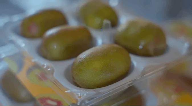 PG电子·仿照器(试玩游戏)官方网站