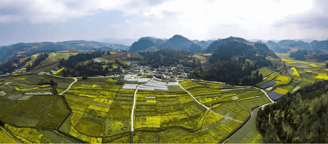 PG电子·仿照器(试玩游戏)官方网站